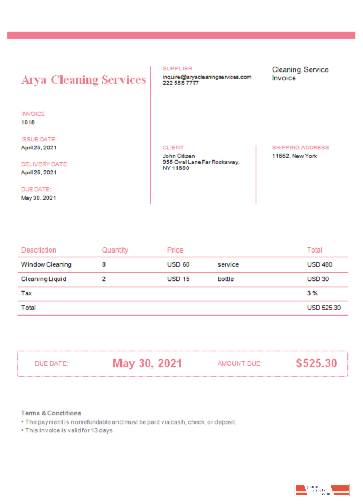 USA Arya Cleaning Services invoice PSD template
